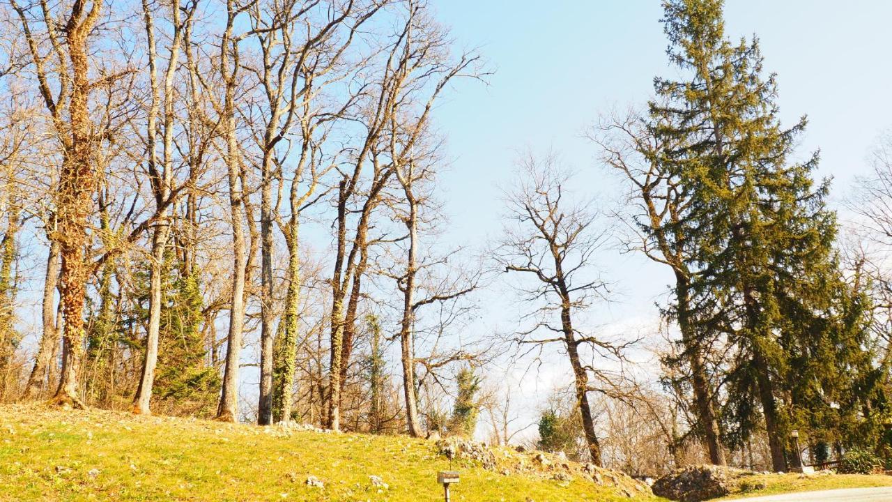 La Garenne De Morestel エクステリア 写真